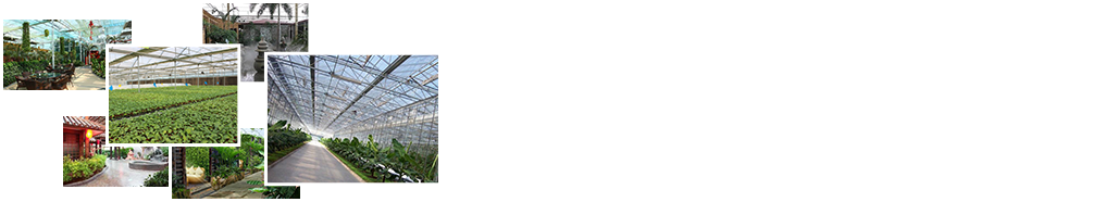 24小時(shí)免費(fèi)咨詢(xún)、免費(fèi)技術(shù)指導(dǎo)